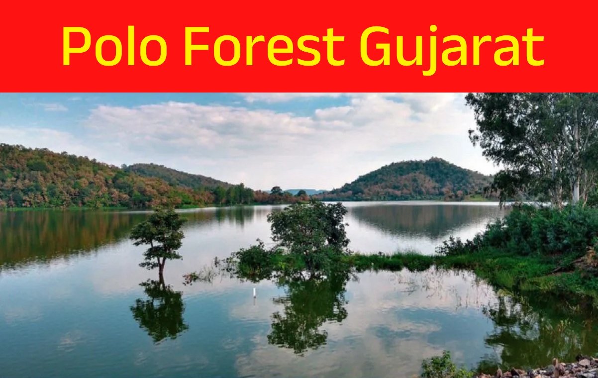 Polo Forest Gujarat
